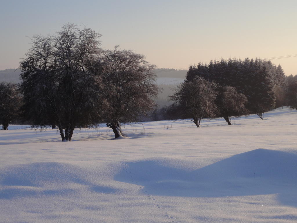 Gite Des Evets La-Roche-en-Ardenne Buitenkant foto