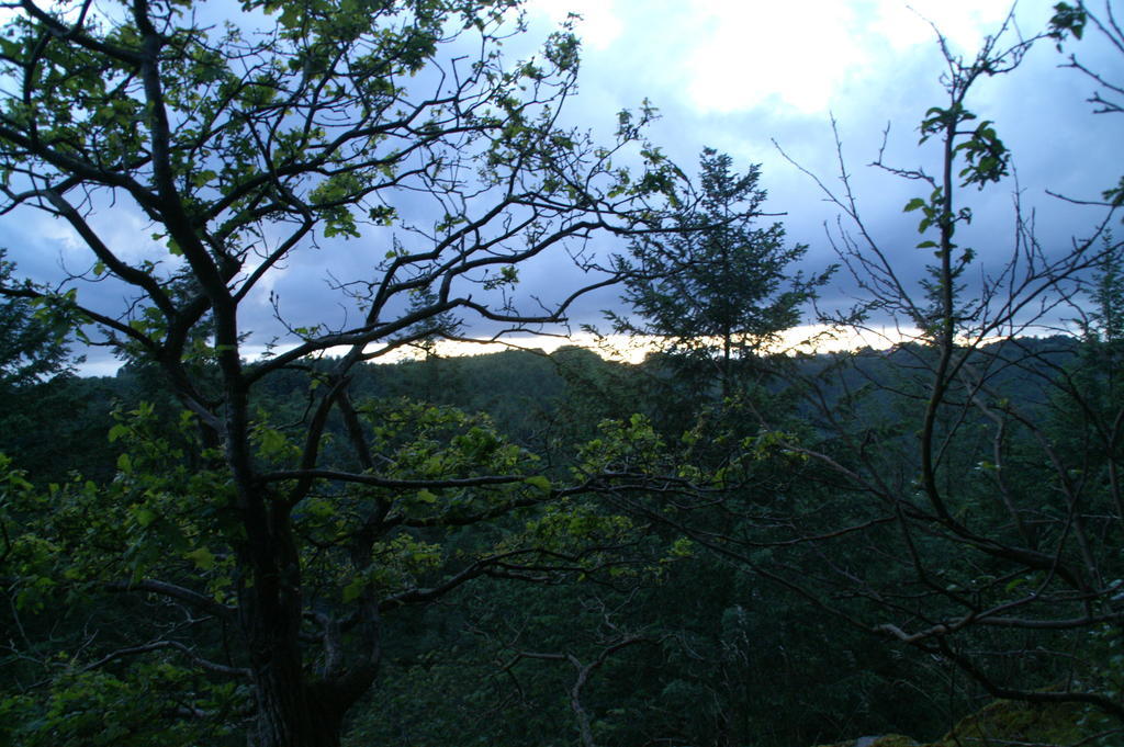 Gite Des Evets La-Roche-en-Ardenne Buitenkant foto